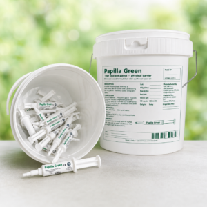 Read more about the article PAPILLA GREEN